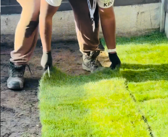 Hedge Cutting.zip - 11 Hedge Cutting.zip - 11