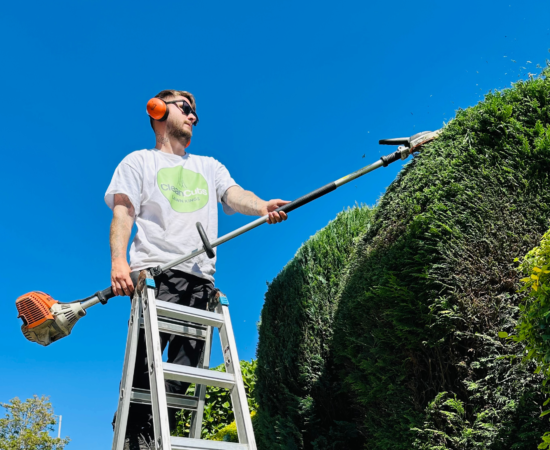 Hedge Cutting.zip - 3 Hedge Cutting.zip - 3