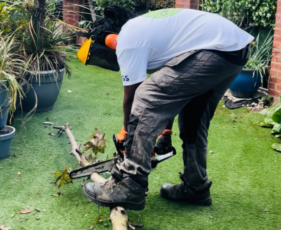 Hedge Cutting.zip - 8 Hedge Cutting.zip - 8